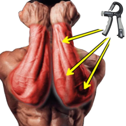Flexor Force + Complete Workout for Muscle Mass Gain